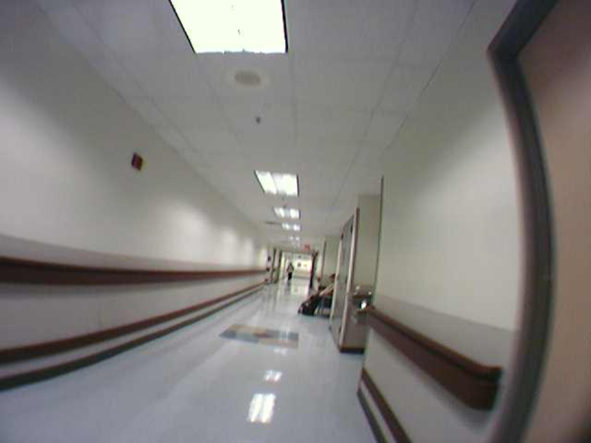 UTMB1